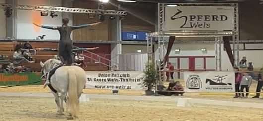 PFERD WELS 2023