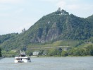 Sträucher und Bäume entlang des Rheins (c)